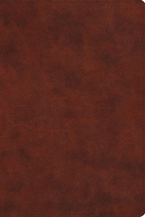 ESV Everyday Gospel Bible, TruTone®, Chestnut