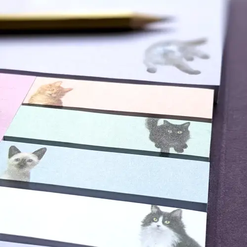 Things To Do Folder/Sticky Notes - Patricia Maccarthy Cats