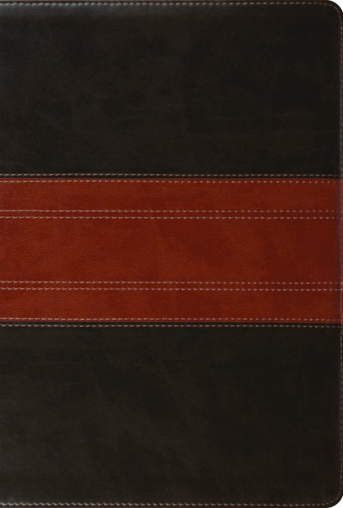 ESV Men's Study Bible (TruTone, Forest/Tan, Trail Design)