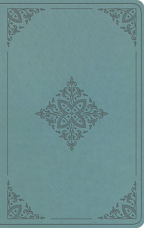 ESV Value Thinline Bible (TruTone, Paris Sky, Fleur-de-lis Design)