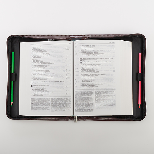 Medium "I Know the Plans" (Tan) Two-tone Bible Cover