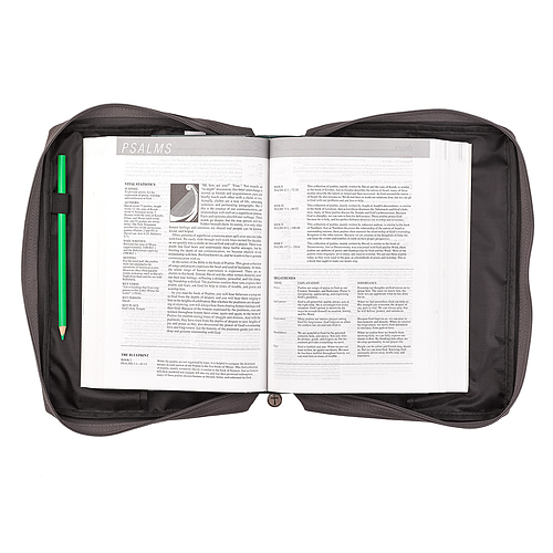 Large God's Love Bible Cover