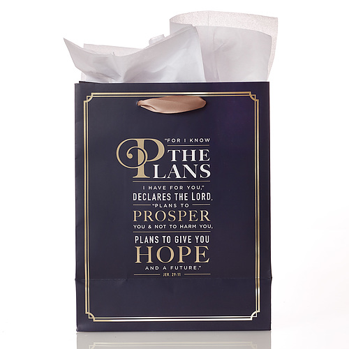 For I Know the Plans - Jeremiah 29:11 - Medium Gift Bag