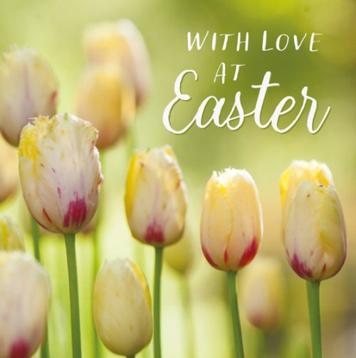 Easter Card - Tulips: With Love At Easter (Pack Of 5)