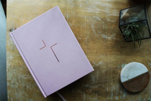 The Jesus Bible, ESV Edition, Leathersoft over Board, Pink