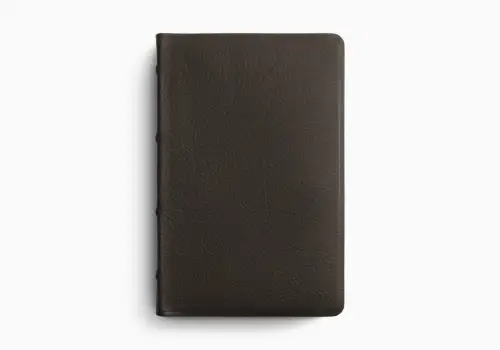 ESV Large Print Thin Reference Bible