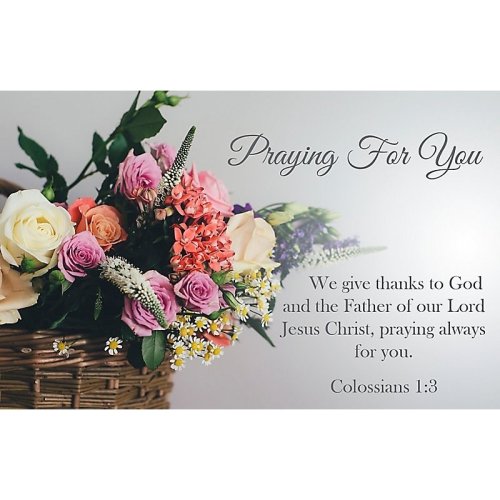 Praying for You Postcard (Pkg 25) Concern