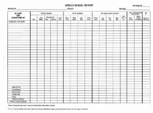 School Triplicate Report Book