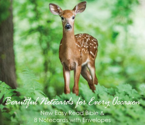 Easy Read Bible & Notecard Set