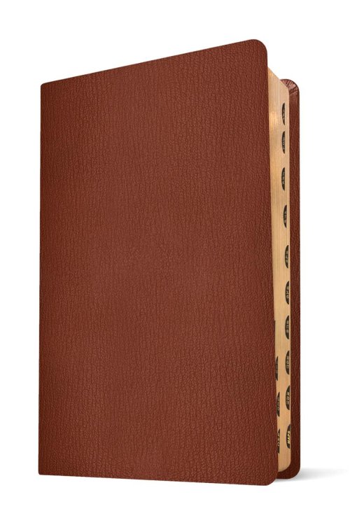 NLT Super Giant Print Bible, Filament Enabled (Genuine Leather, Brown, Indexed)