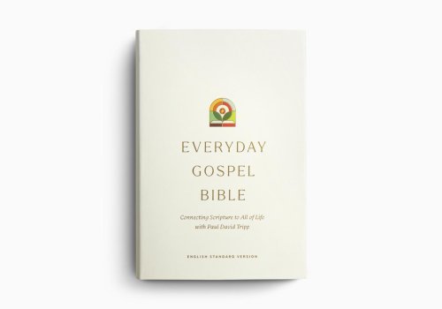 ESV Everyday Gospel Bible