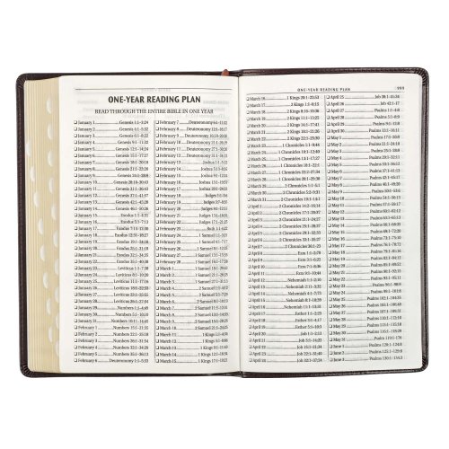 KJV Bible Deluxe Gift Faux Leather, Dark Brown