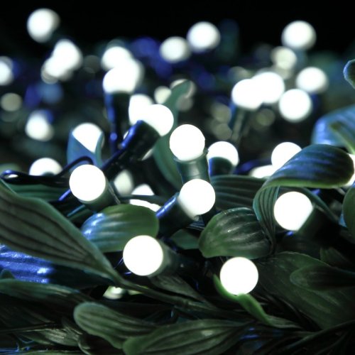 100 LED Fit and Forget White Multifunction berry lights - batteries