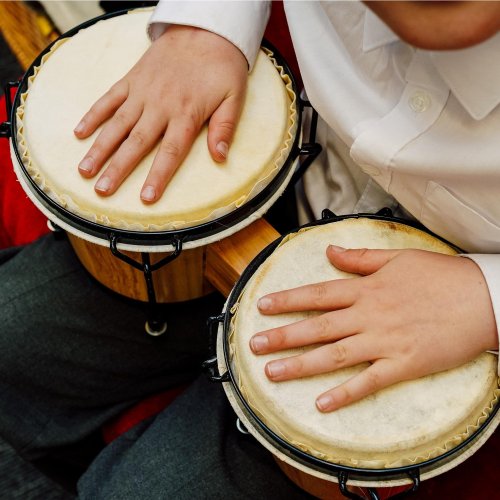 7 and 8 Inch Bongo Drums