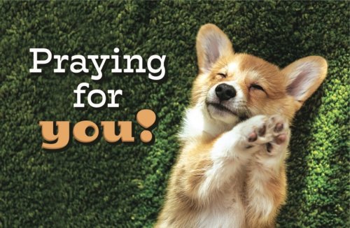 Praying for you! Postcard (pack of 25)