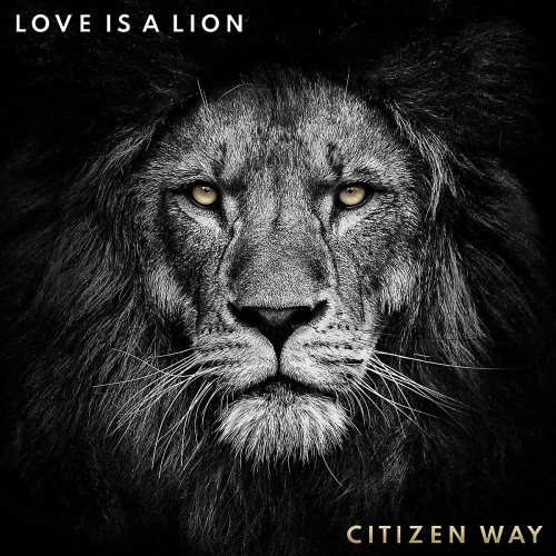 Love Is A Lion