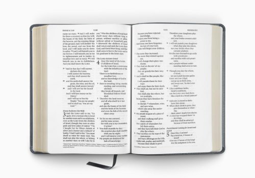 ESV Large Print Wide Margin Bible