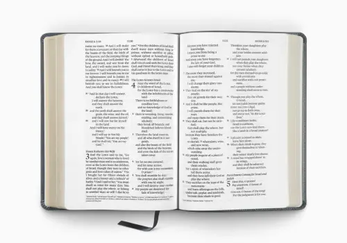 ESV Large Print Wide Margin Bible