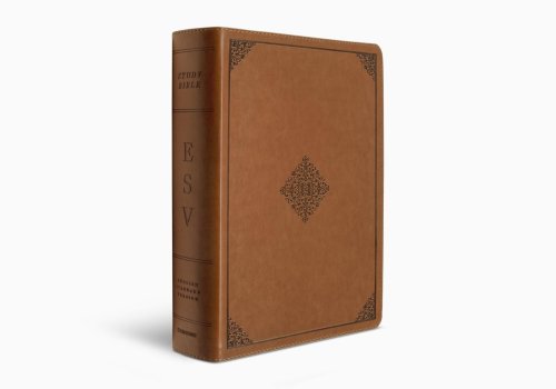 ESV Study Bible (TruTone, English Saddle, Ornament Design)