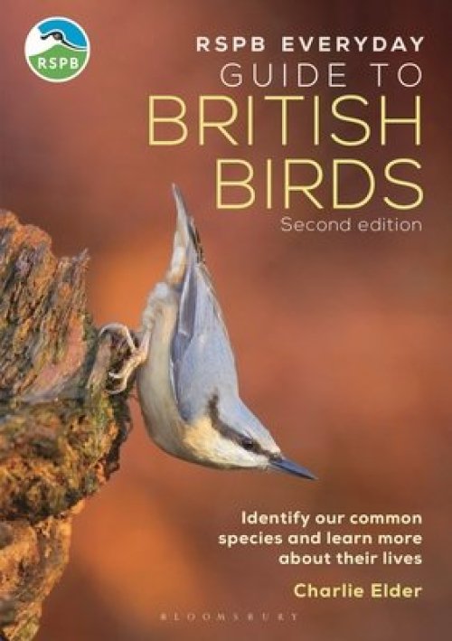 Rspb Everyday Guide To British Birds