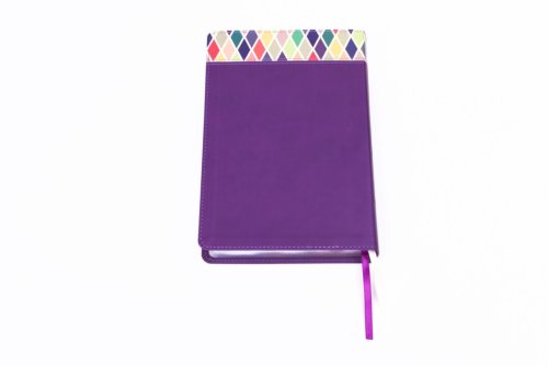 CSB Rainbow Study Bible, Purple LeatherTouch