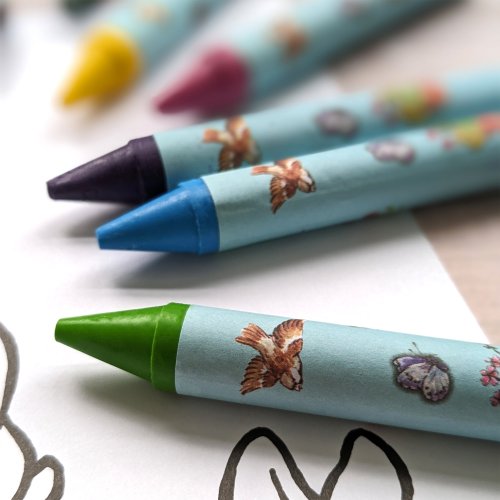 8 Jumbo Crayons - Peter Rabbit Pastel Stripes