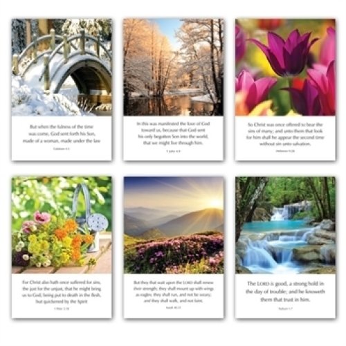 Greetings Cards: L series (mixed pack of 6)