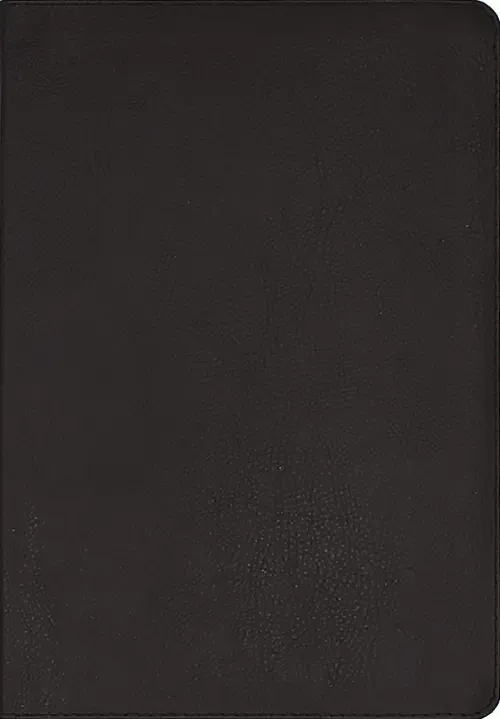 NIV Application Bible, European Bonded Leather, Black, Red Letter, Comfort Print