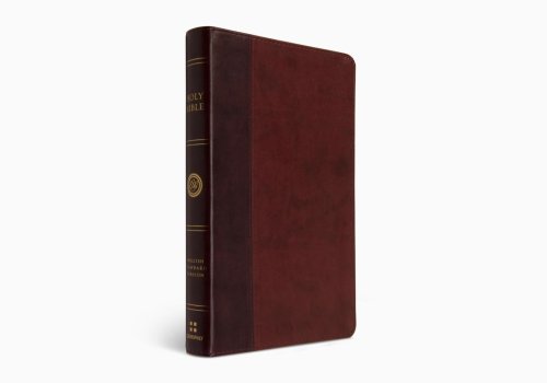 ESV Large Print Thinline Bible (TruTone, Burgundy/Red, Timeless Design)