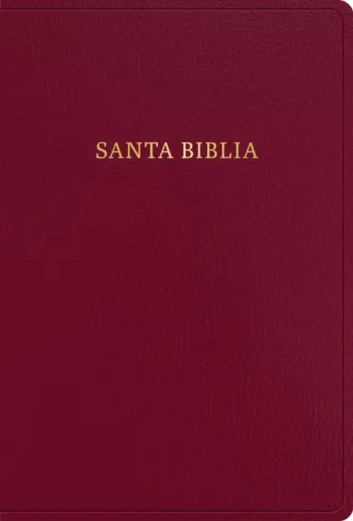 RVR 1960 Biblia Letra Súper Gigante, Borgoña, Imitación Piel