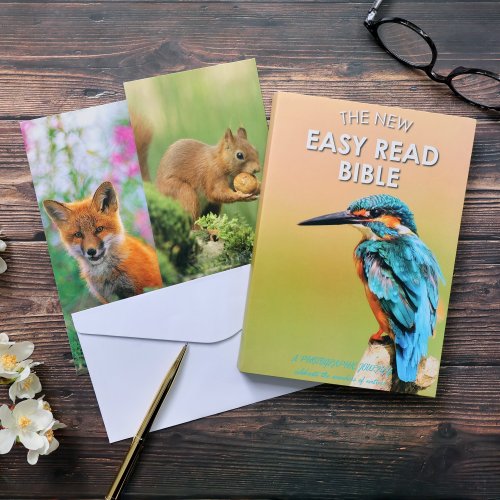 Easy Read Bible & Notecard Set