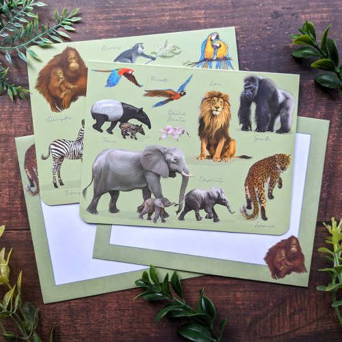 Fliplid Boxed Notecard Set - Patricia Maccarthy Jungle Green