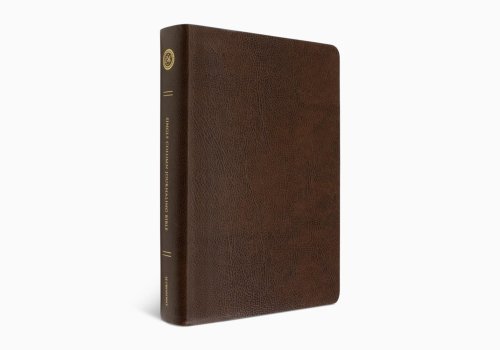 ESV Single Column Journaling Bible, Large Print (Bonded Leather, Mocha)