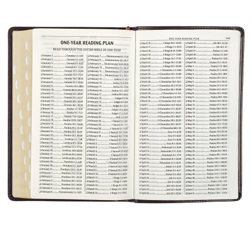 KJV Bible Deluxe Gift Faux Leather, Dark Brown