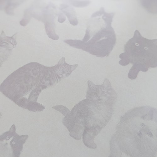 A5 Wiro Notebook With Dividers - Patricia Maccarthy Cats