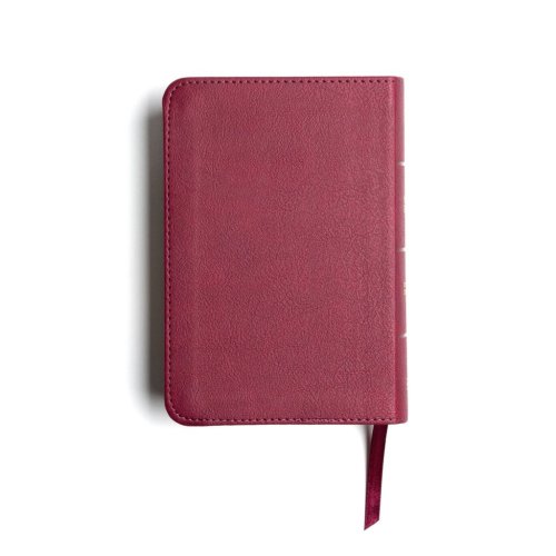 CSB Large Print Compact Reference Bible, Cranberry Leathertouch