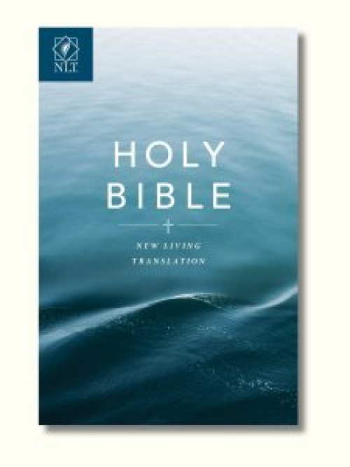 Bible Translation Bundle