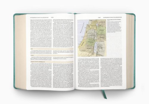 ESV Study Bible (TruTone, Turquoise, Emblem Design)