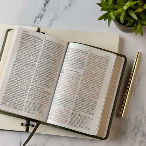 NASB Large Print Compact Reference Bible, Olive LeatherTouch