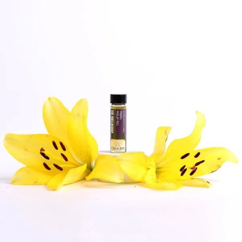 Anointing Oil Lily of the Valley 1/4 oz (Pack of 6)