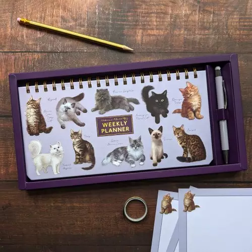 Landscape Weekly Planner And Pen Set - Patricia Maccarthy Cats