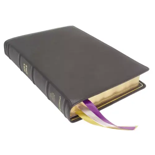 NRSV, Single-Column Reference Bible, Premium Goatskin Leather, Black, Premier Collection, Art Gilded Edges, Comfort Print