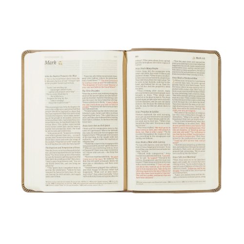 NLT Compact Bible: Marlo Theme