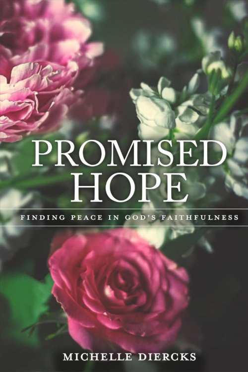 Promised Hope: Finding Peace In God'S Faithfulness