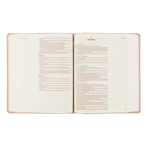 KJV Large Print Notetaking Bible: Shiloh Theme