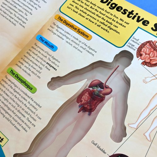 3D Discover the Human Body Book