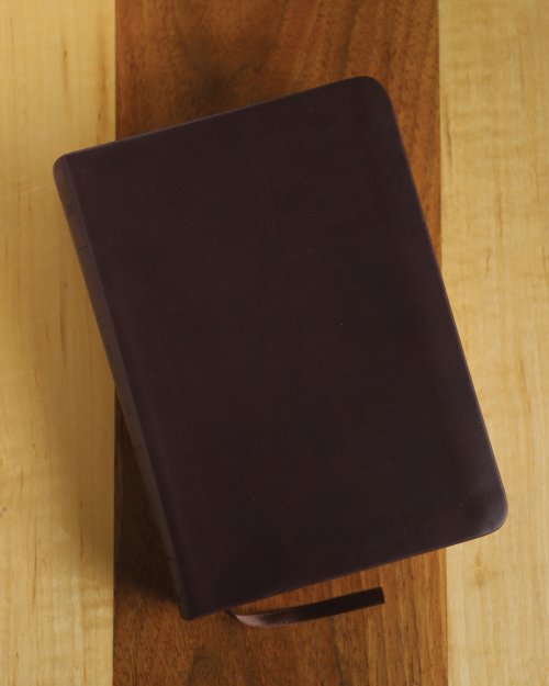 NRSV Renovare Life With God Study Bible: Burgundy, Imitation Leather