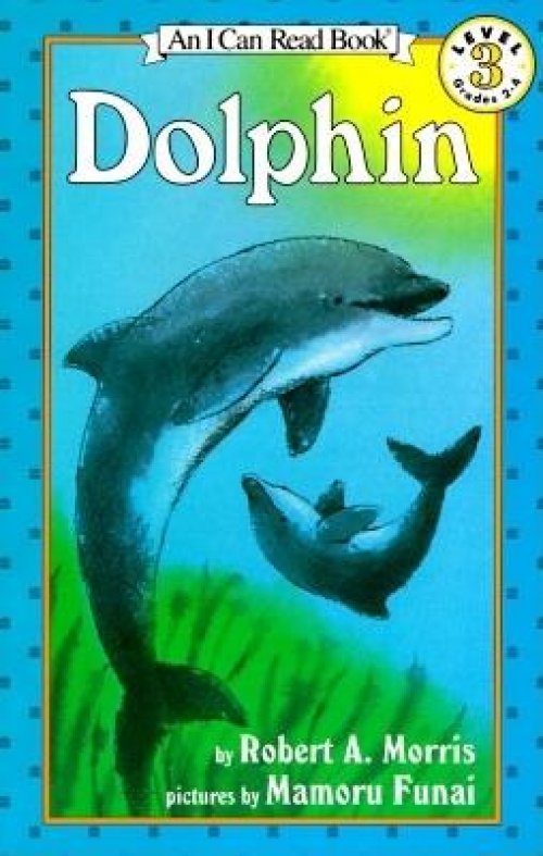 Dolphin