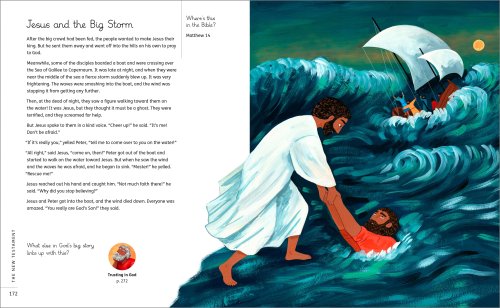 My Big Story Bible Storybook Bible