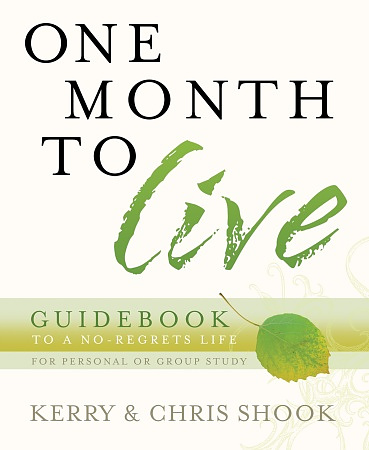 One Month To Live Guidebook